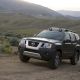X-Terra