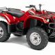 Grizzly 350