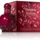 Hidden Fantasy