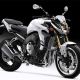 FZ8