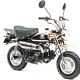 Z50J Monkey