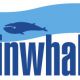 Finwhale
