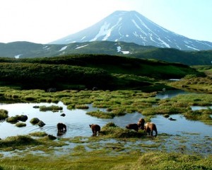 РОССИЯ Камчатский край