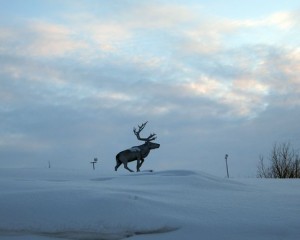 РОССИЯ Ненецкий авт. округ