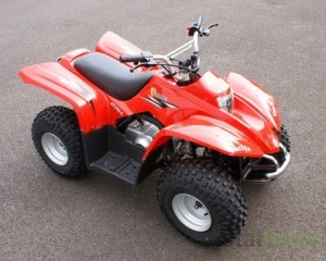 Квадрациклы Sagitta Leone ATV50-C