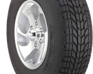 Bridgestone Winterforce